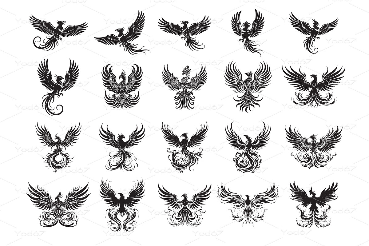 Vector collection of Phoenix birds., an Animal Illustration by yod67