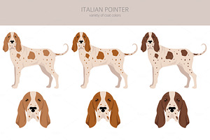 Italian Pointer Clipart