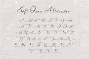 Soft Omen: Delicate Script Font, a Script Font by Mneme (Thumbnail 7 of 9)