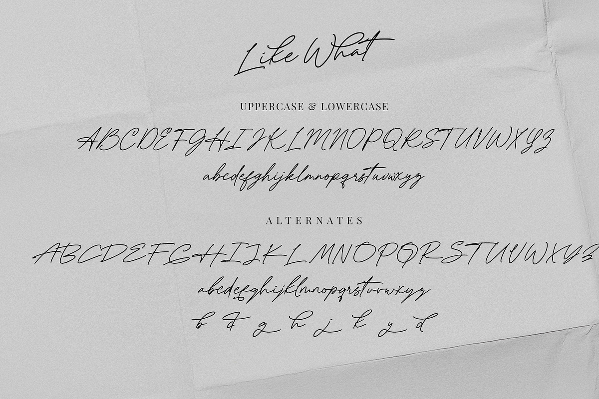 Like What | Script, a Script Font by ARSAVISUAL (Photo 15 of 15)