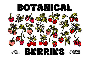 Hand Drawn BOTANICAL BERRIES