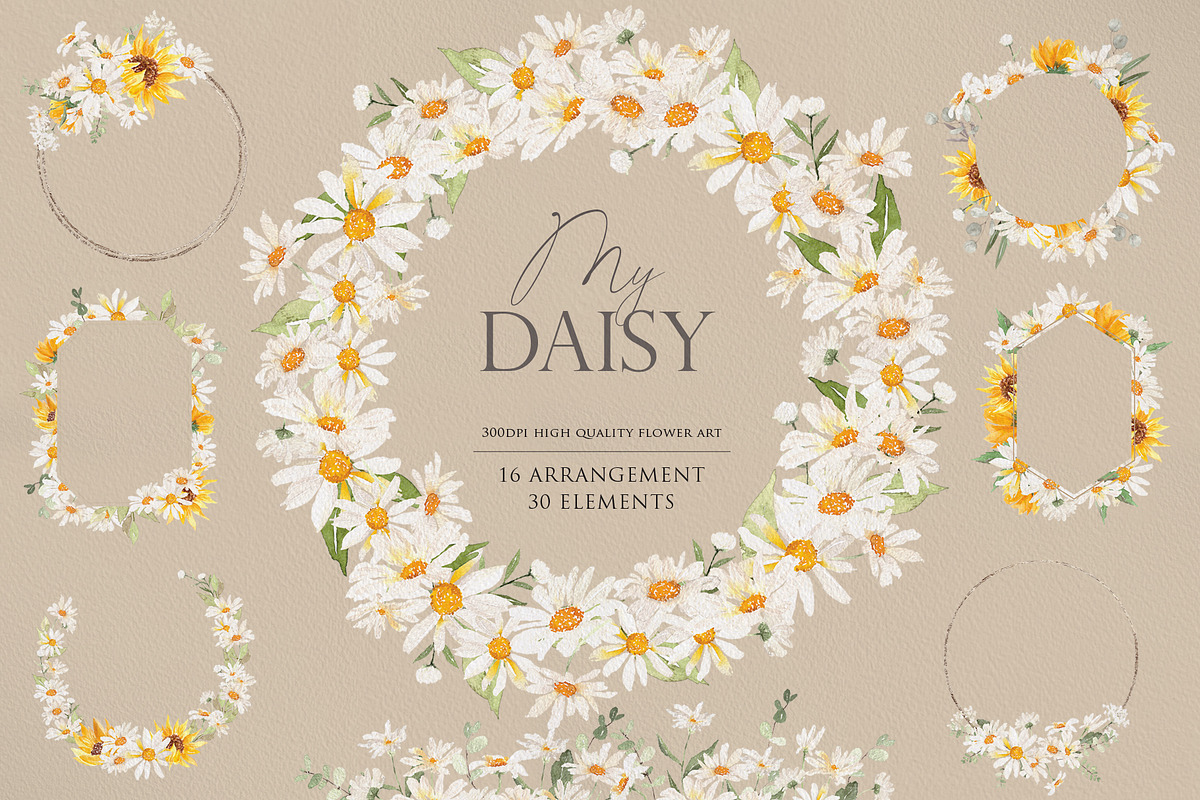 Watercolor flower - Daisy Set, an Illustration by Beigetime (Photo 1 of 10)