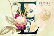 Elysian Floral Collection, an Illustration by Eclectic Anthology (Thumbnail 3 of 15)