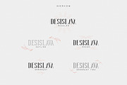 Desislava Luxurious Typeface + Bonus, a Serif Font by VP Fonts (Thumbnail 2 of 11)