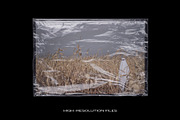 Plastic Bundle Branding Wrap Texture, a Texture Graphic by PrintPixel (Thumbnail 80 of 86)