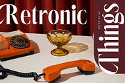 Rigflia Nirsho Modern Serif Font, a Serif Font by timelesstype.co (Thumbnail 15 of 20)