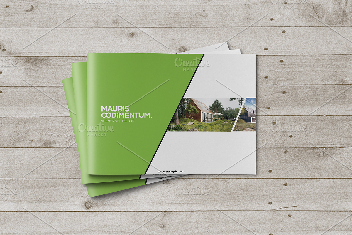 Multipurpose Brochure Template, a Brochure Template by ShapShapy (Photo 2 of 15)