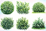 Watercolor Bushes Clipart Bundle, an Illustration by Canvas Craft (Thumbnail 4 of 5)