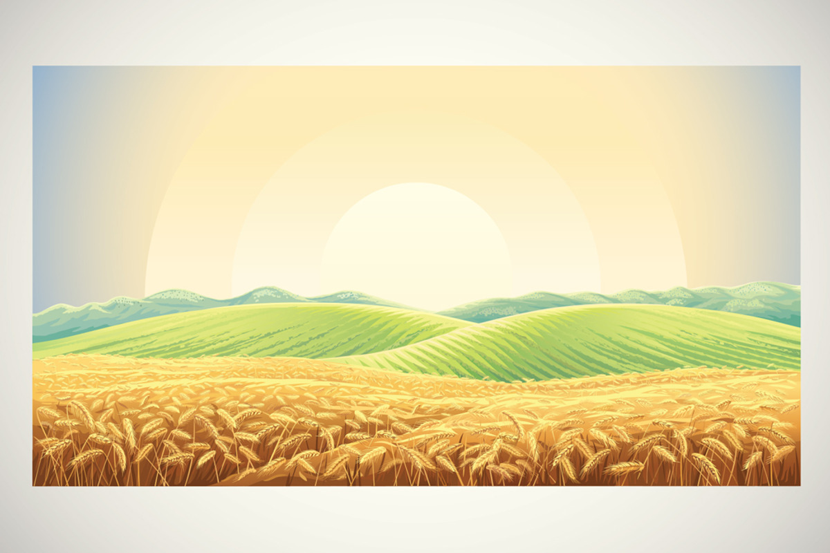 Rural landscape with wheat field, a Food Illustration by Countryside life (Photo 2 of 8)