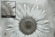 Engrave Photoshop Action, an Action Add-On by AndriyFM (Thumbnail 8 of 23)