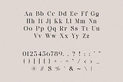Grivon – Nostalgic Elegant Serif, a Serif Font by BrandSemut (Thumbnail 7 of 8)