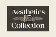 Bagila Elegant Serif Font, a Serif Font by Perfectype (Thumbnail 6 of 8)