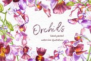 Orchids branch in botanical style, a Decorative Illustration by Ann Astro (Thumbnail 13 of 15)