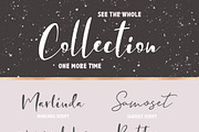 Font Pack & Mini Logo Creator, a Script Font by PeDe Designs (Thumbnail 22 of 22)