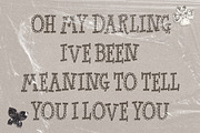 Lacedrunk Lace Pattern Font, a Slab Serif Font by The October Creative (Thumbnail 6 of 8)