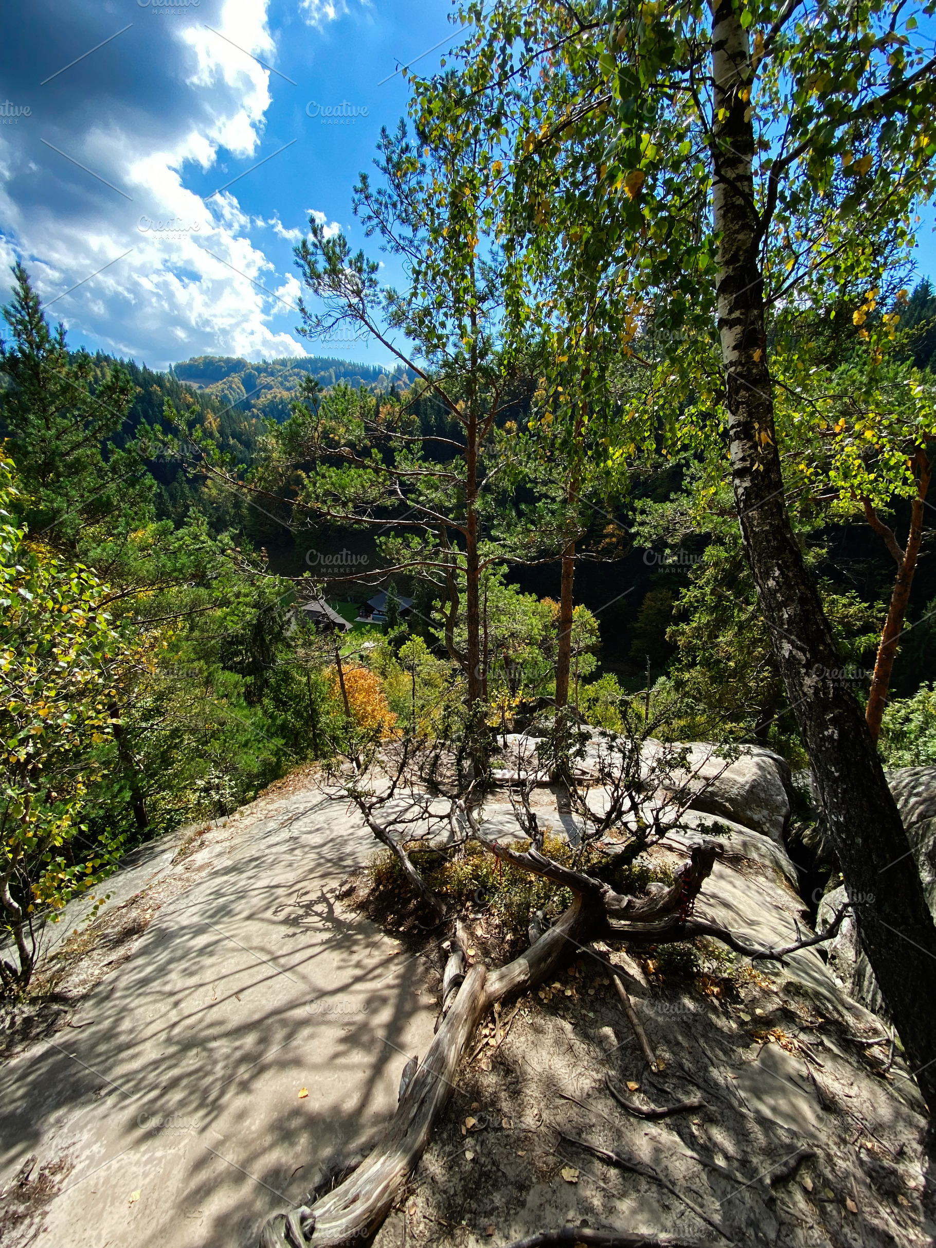 Scenic view of forest trees under a vibrant blue sky. Carpathian mountains, Ukr, a Photo by AS photostudio