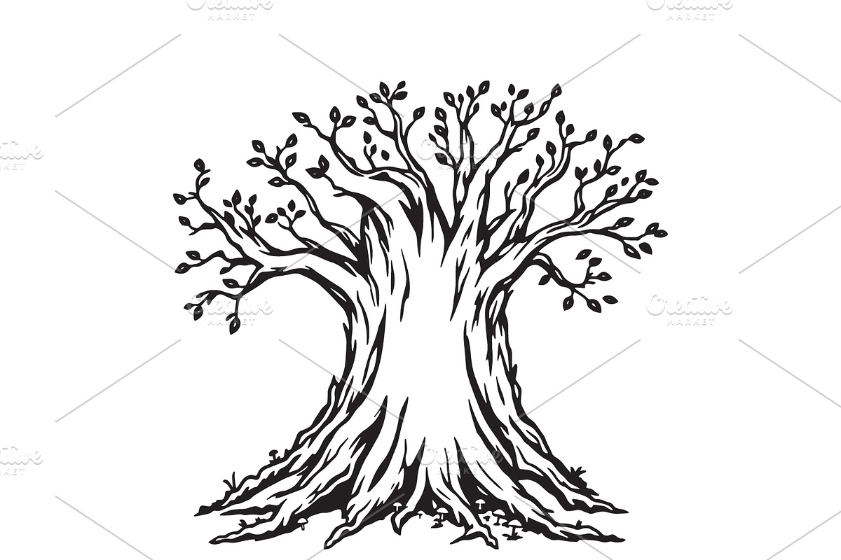 Tree silhouette mushroom, a Texture Graphic by Design Store (Photo 1 of 3)