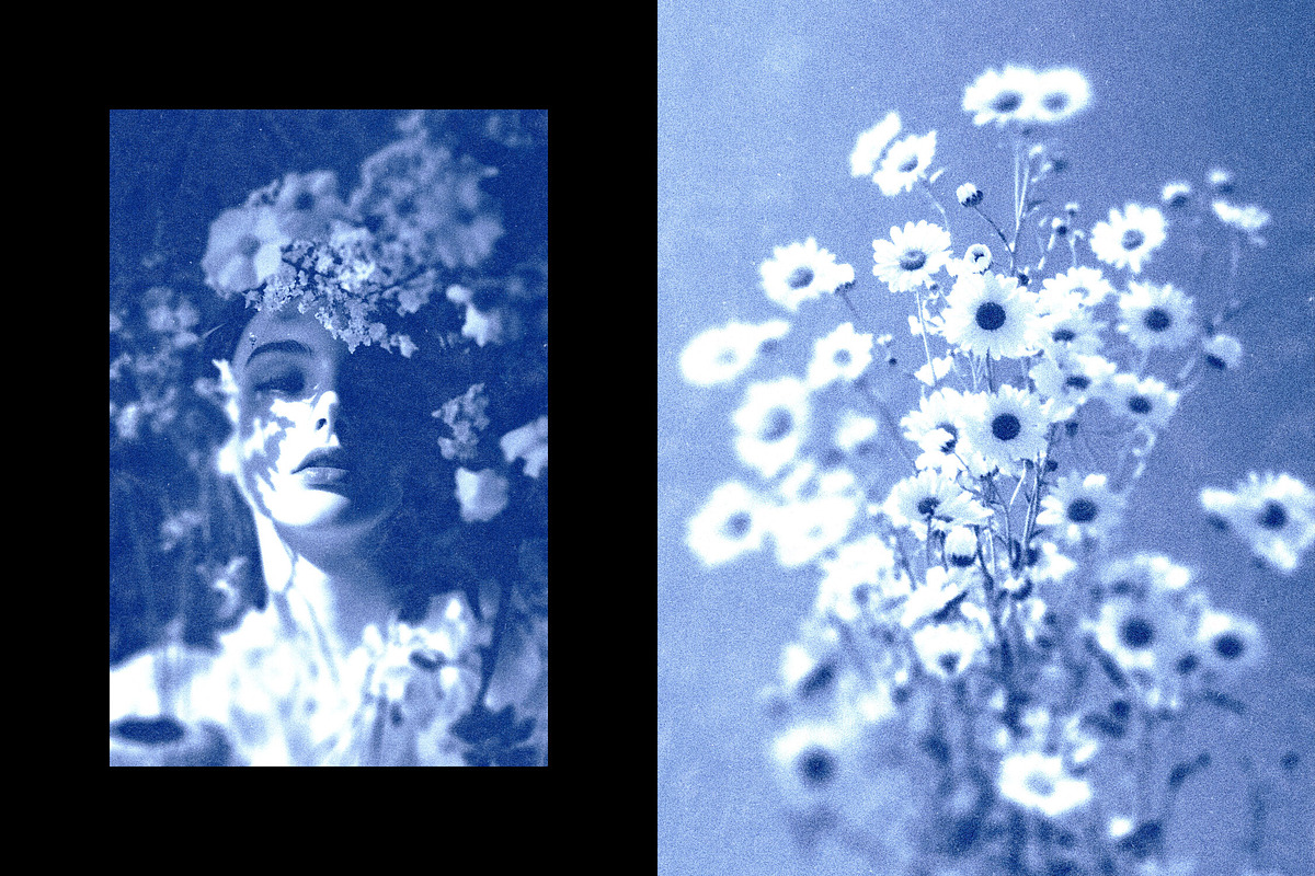 Cyanotype Photo Effect, a Layer Style Add-On by Design Squad (Photo 3 of 6)