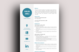 Big Icon Modern Resume Template