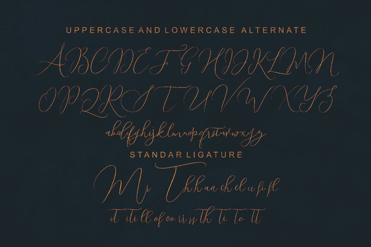 Shailene Script Font preview 7