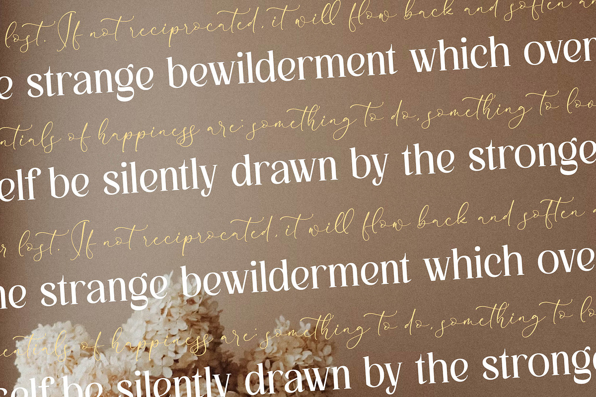 Kingdom Estella Font Duo, a Serif Font by Storytype Studio (Photo 9 of 15)