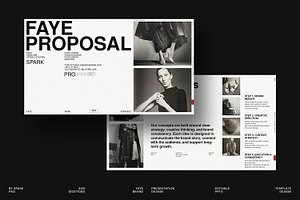 FAYE Brand Proposal