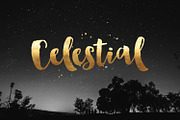 Bonjour! Typeface with Extras, a Script Font by Nicky Laatz (Thumbnail 5 of 5)