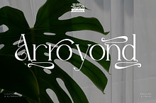 Arroyond - Modern Serif Fpnt