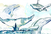 Hand-drawn watercolor whale bundle, an Object Graphic by Natsuhisui (Thumbnail 5 of 9)