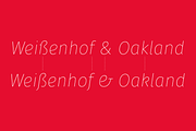 Gardenia Typeface 85%OFF, a Font by W Type Foundry (Thumbnail 10 of 14)