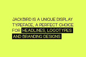 JACKBIRD - Display / Headline Font