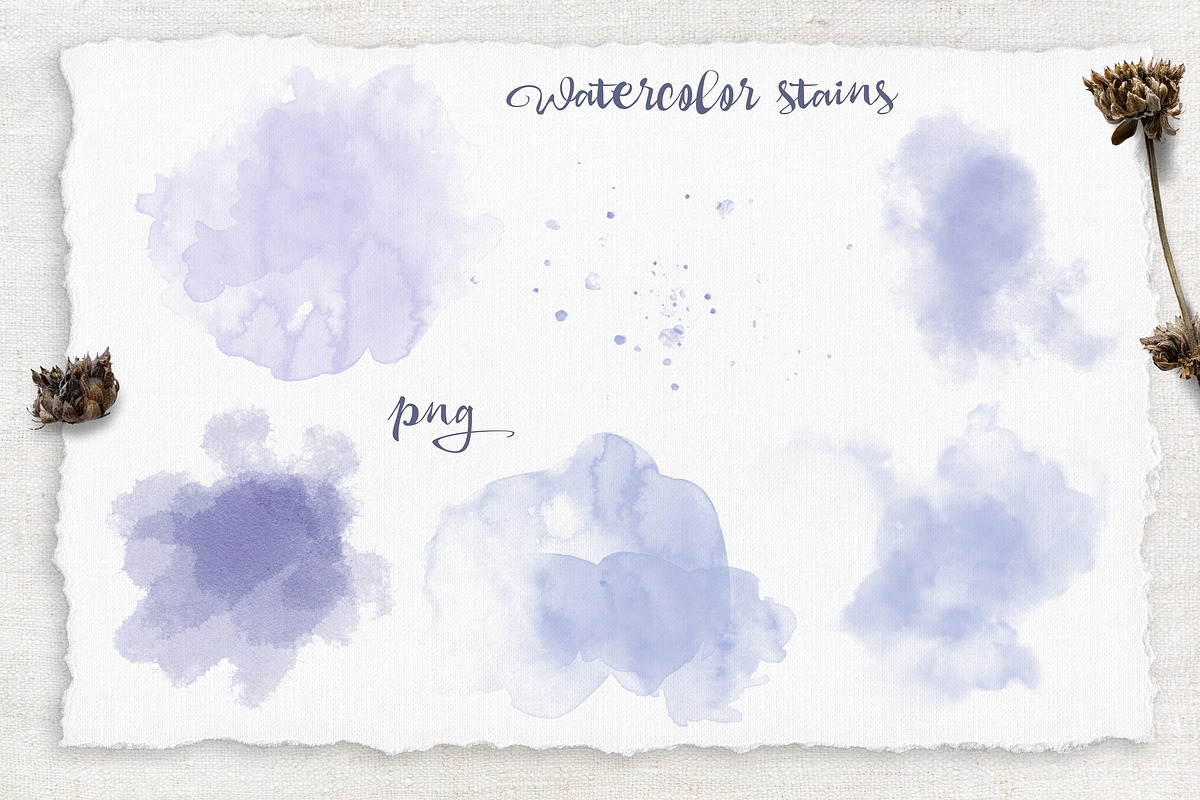 Watercolor Sunflowers and Cotton, an Illustration by Yuliya Art (Photo 24 of 24)