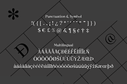 Shogi - Modern Serif Typeface, a Serif Font by Attractype (Thumbnail 7 of 8)