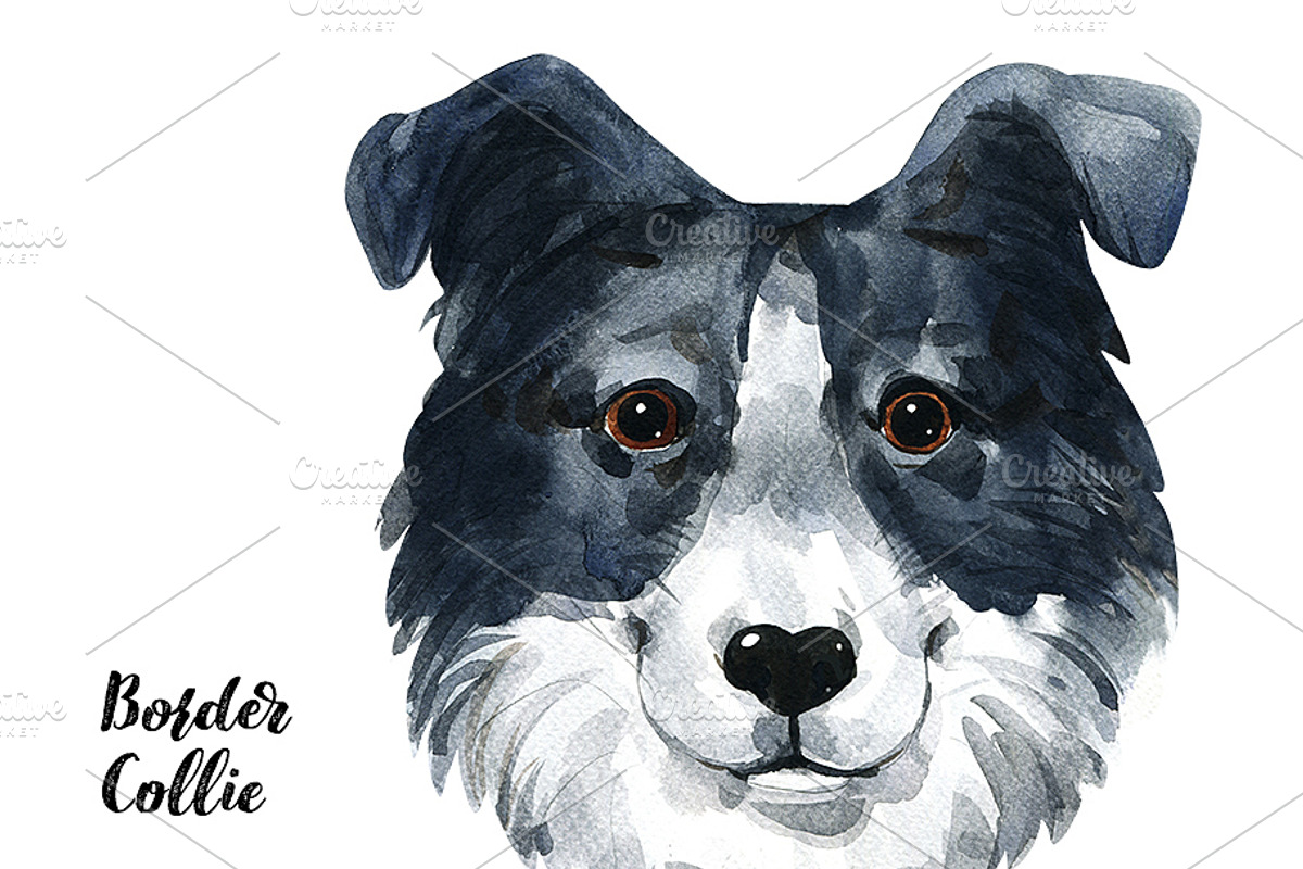 Breeds of dogs - watercolor. Part 3, an Animal Illustration by KatBranchArt (Photo 2 of 5)