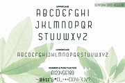 Sepindah Font Duo Sans & Script, a Handwritten Font by Iwanistic (Thumbnail 5 of 15)