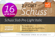 SchussSlabProLightIta No.16 (1 Font), a Slab Serif Font by typic schuss (Thumbnail 2 of 6)