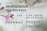 RENDA - Serif, a Serif Font by Olexstudio (Thumbnail 7 of 8)