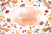 Spices watercolor set, an Illustration by PS_patterns (Thumbnail 1 of 4)