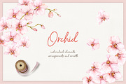 Spring flowers - watercolor clipart, a Decorative Illustration by long summer (Thumbnail 4 of 7)