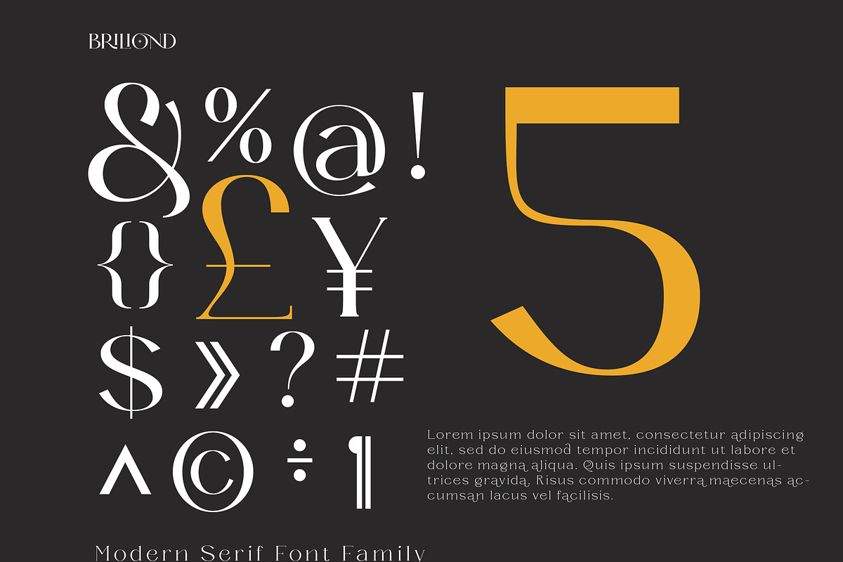 Briliond - Modern Serif, a Serif Font by Ardyanatypes (Photo 9 of 12)