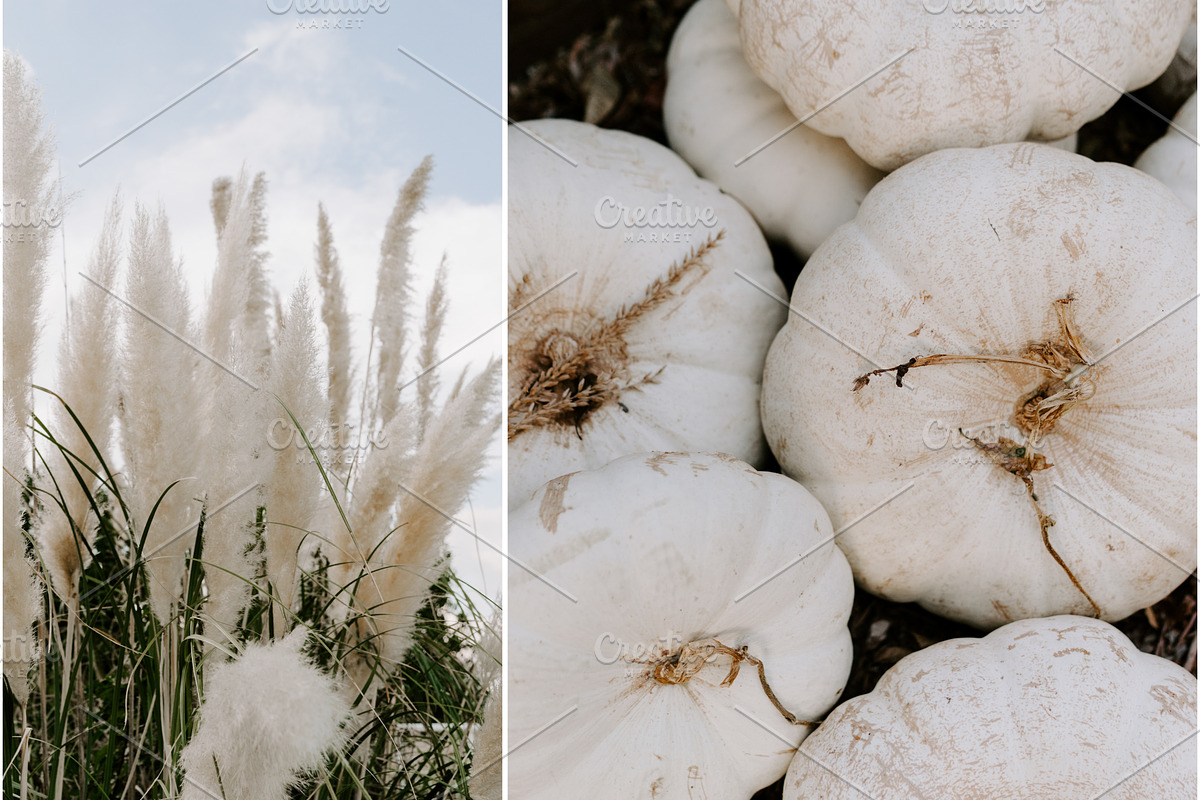 Farmhouse Fall Styled Stock Photos, a Holiday Photo by LaPorte Images (Photo 3 of 12)