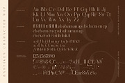 Bastiken Stylish Modern Serif, a Serif Font by Storytype Studio (Thumbnail 14 of 15)