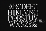 TAN - WAVERLY, a Serif Font by TanType (Thumbnail 5 of 22)
