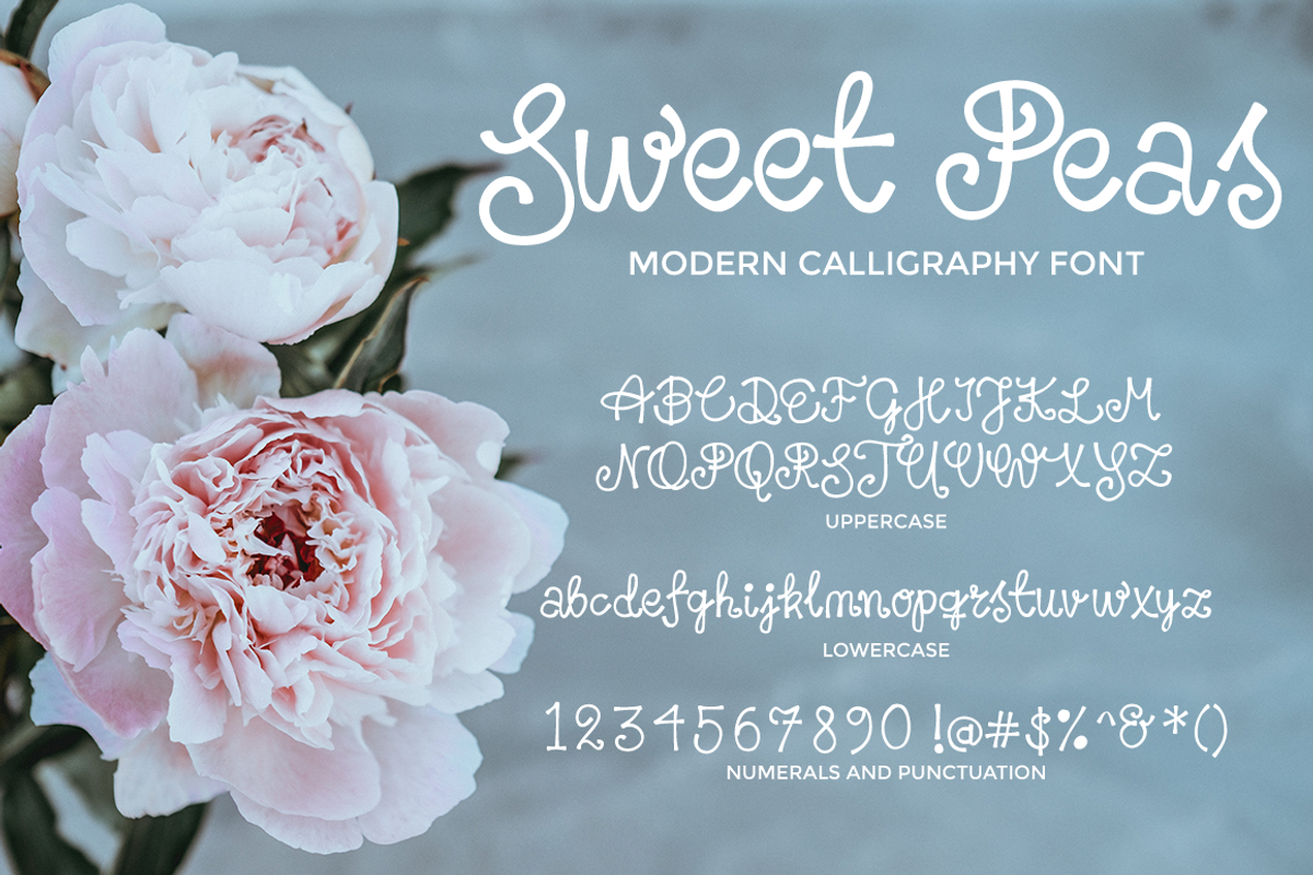 Sweet Peas Font preview 5