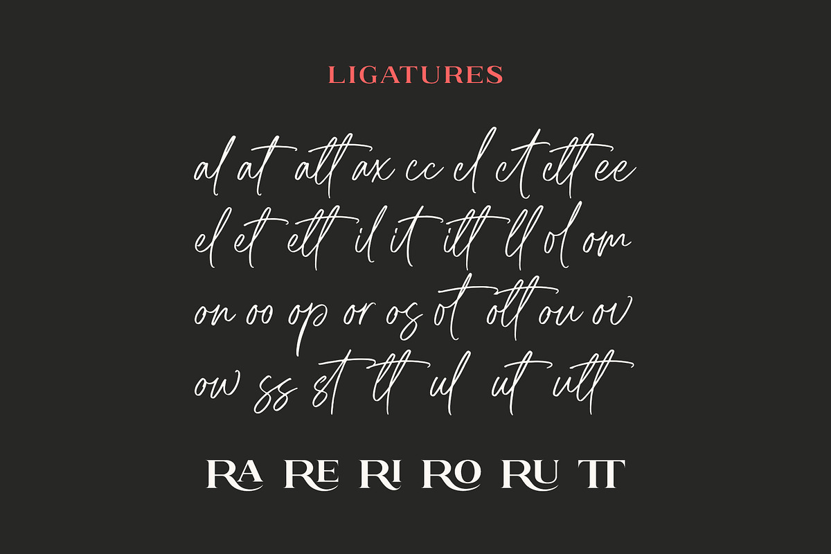 Brushine Collective Font, a Serif Font by trustha (Photo 12 of 15)