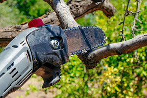 close-up of a pruning saw cutting a dry tree branch, a Photo by Nito