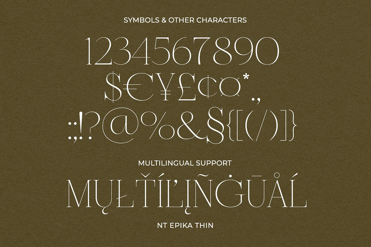 NT Epika, a Serif Font by nevsky.type (Photo 3 of 10)