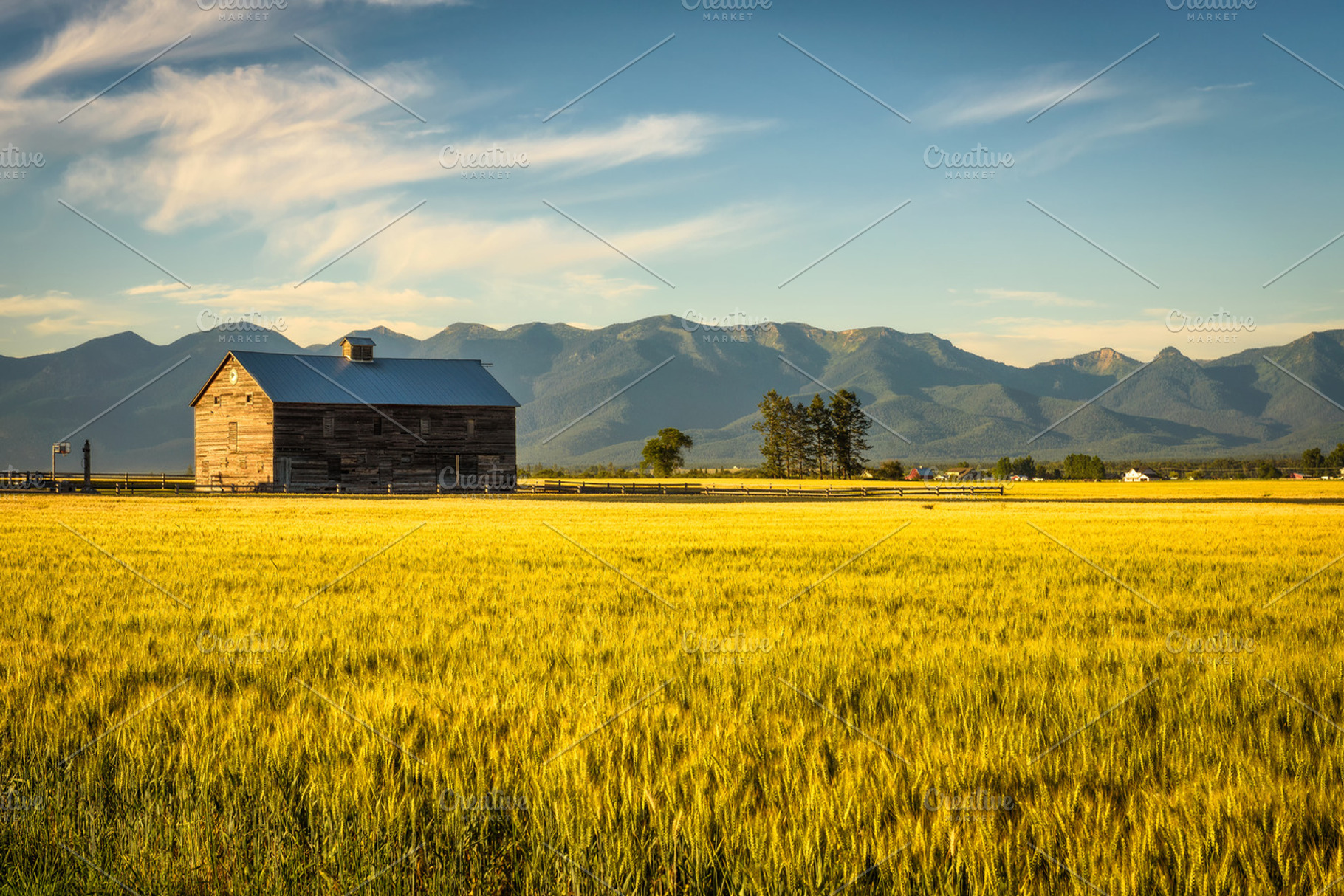Summer sunset with an old barn and a rye field in rural Montana, a Nature Photo by Nick Fox