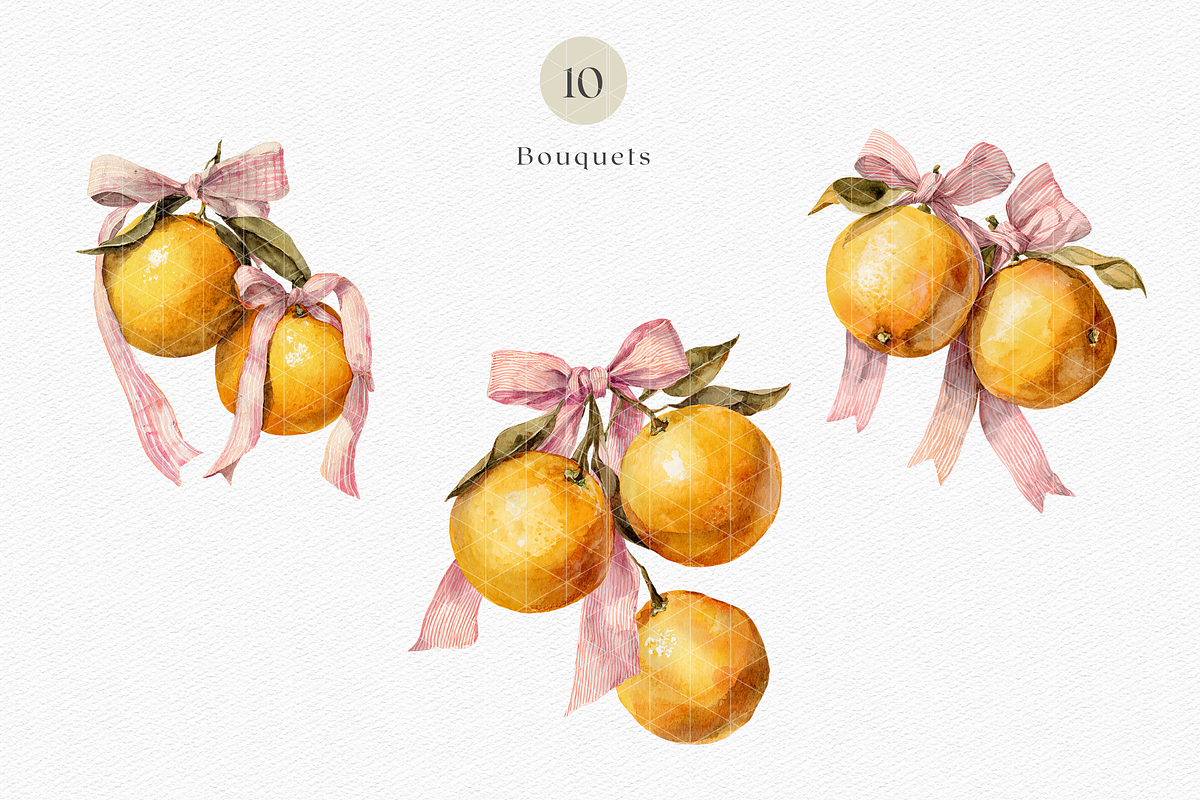 Watercolor Oranges and Bows, a Decorative Illustration by ThaismotaCreativeCo (Photo 5 of 10)