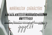 Sydney | Font Duo + 12 Free Logos, a Sans Serif Font by Jen Wagner Co (Thumbnail 12 of 13)